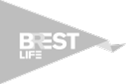 Brest Life logo